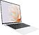 Ноутбук Huawei MateBook X Pro 2023 MorganG-W7611TM 53013SJT