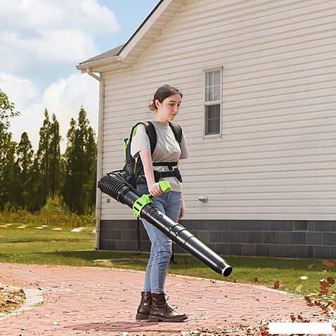 Ранцевая воздуходувка Greenworks GD40BPG2 2408107 (без АКБ)