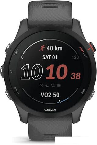 Умные часы Garmin Forerunner 255 46 мм (сланцево-серый/черный)