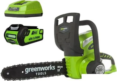 Аккумуляторная Greenworks G40CS30K2 (с АКБ 2 а*ч)
