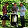 Weber Smokey Mountain Cooker 47cm