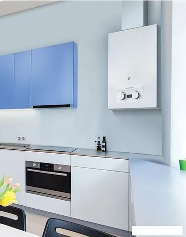 Газовая колонка Oasis Eco W-24