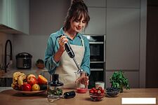 Погружной блендер AccesStyle HB8041B
