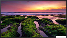 Информационная панель Samsung QB75B LH75QBBEBGCXCI