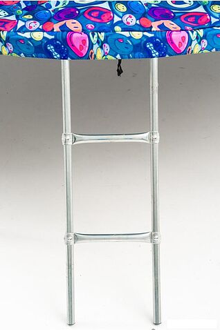 Батут Calviano Inside Master Smile 252 см - 8ft (внутренняя сетка, с лестницей)