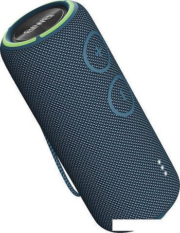 Беспроводная колонка Aiwa PAS-H300 (темно-синий)