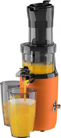 Соковыжималка Garlyn J-300