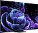 MiniLED телевизор TCL 55C835