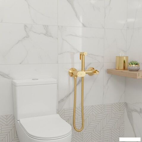 Гигиенический душ Lauter Sano 21LT1294GL