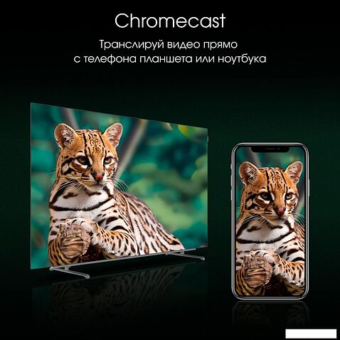 OLED телевизор Digma Pro OLED 55M