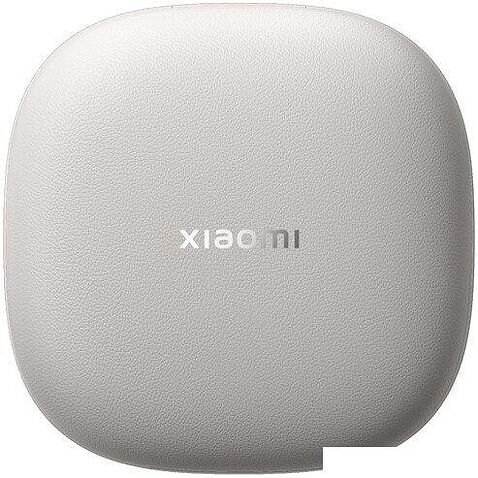 Наушники Xiaomi OpenWear Stereo M2503E1 (титановый серый, международная версия)