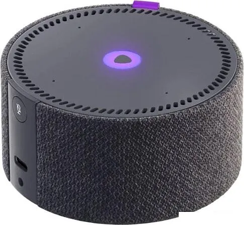 Беспроводная аудиосистема Яндекс Станция Мини (черный)