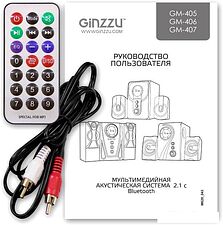 Акустика Ginzzu GM-407