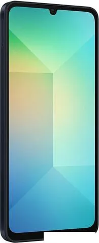 Смартфон Samsung Galaxy A06 SM-A065F 4GB/64GB (черный)