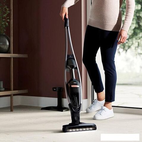 Пылесос Electrolux PQ91-40GG