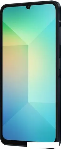 Смартфон Samsung Galaxy A06 SM-A065F 4GB/64GB (черный)
