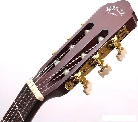 Акустическая гитара Aileen ACG160