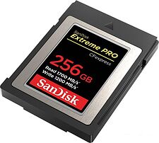 Карта памяти SanDisk Extreme Pro CFexpress Type B SDCFE-256G-GN4NN 256GB Карта памяти SanDisk Extreme Pro CFexpress Type B SDCFE-256G-GN4NN 256GB