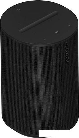 Беспроводная аудиосистема Sonos Era 100 (черный)