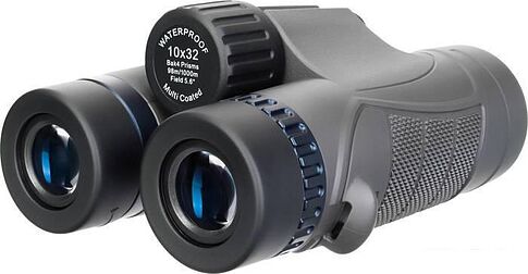 Бинокль Levenhuk Nitro 10x32 (черный)