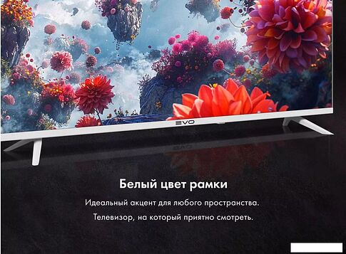 Телевизор Evo TV 24 White TD0051748RU