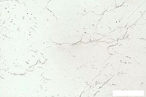 Готовая кухня ВерсоМебель ВерсоЛайн 2-2.6 (ясень шимо светлый/ясень шимо темный)