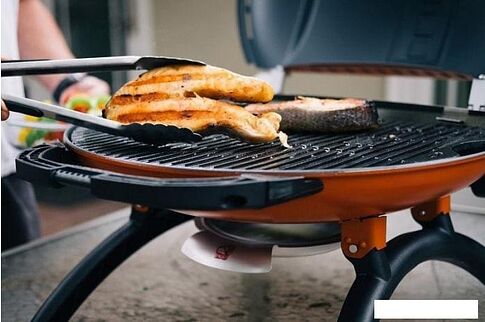 Гриль O-grill 900MT (зеленый)