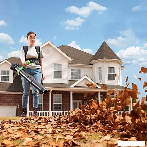 Ранцевая воздуходувка Greenworks GD40BPG2 2408107 (без АКБ)