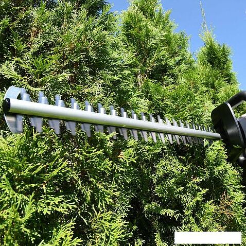 Кусторез Daewoo Power DAHT 5540Li