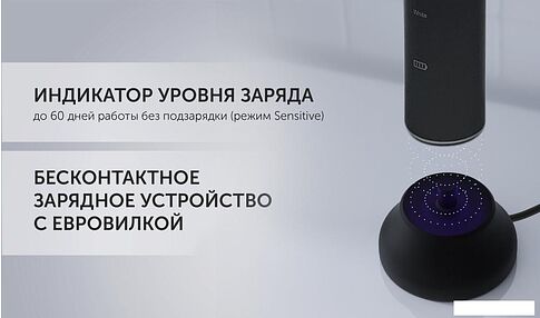 Электрическая зубная щетка Polaris PETB 0701 TC (графит)