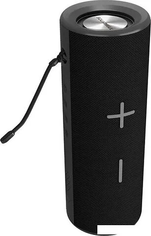 Беспроводная колонка Soundmax SM-PS5024B (черный)