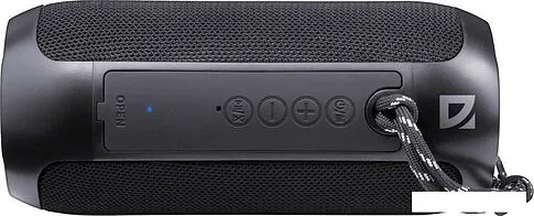 Беспроводная колонка Defender Enjoy S100