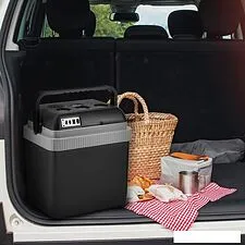 Термоэлектрический автохолодильник Coolfort CF-0233 25л (черный) Термоэлектрический автохолодильник Coolfort CF-0233 25л (черный)