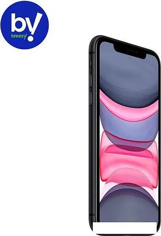 Смартфон Apple iPhone 11 64GB Воcстановленный by Breezy, грейд C (черный)