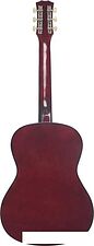 Акустическая гитара Terris TF-3802A NA
