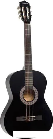 Акустическая гитара Terris TC-3801A BK