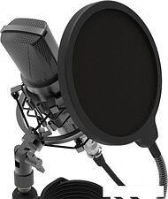 Микрофон Ritmix RDM-175