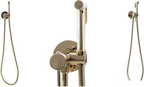 Гигиенический душ Rea Loop REA-B8979 (золотой)