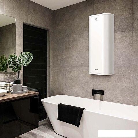 Накопительный электрический водонагреватель Timberk Dry T-WSS50-FS40D-V