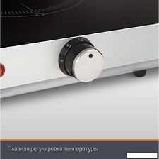 Настольная плита Leonord LE-1748