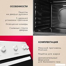 Кухонная плита Hansa FCGW510009H