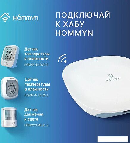 Центр управления (хаб) Hommyn Hub HH-01
