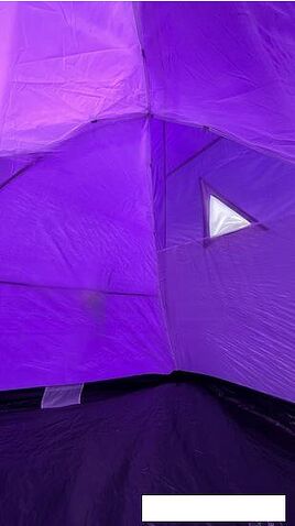 Треккинговая палатка Calviano Acamper Monsun 3 (фиолетовый)