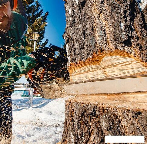 Бензопила Oasis GS-16