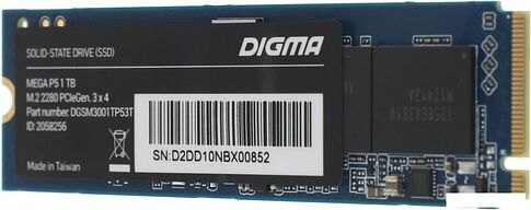 SSD Digma Mega P5 512GB DGSM3001TP53T