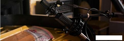 Микрофон Lewitt LCT 441 Flex