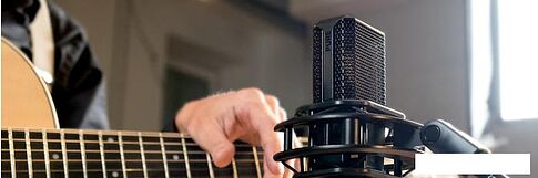 Микрофон Lewitt LCT 440 Pure