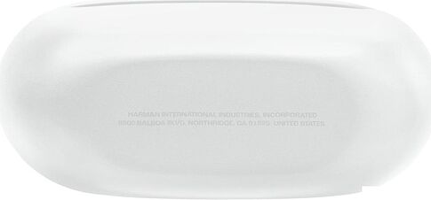 Наушники JBL Endurance Race 2 (белый)