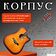 Акустическая гитара ROKSO FT-221-3TS