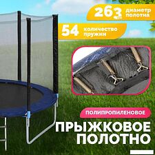 Батут Sundays Favorite 10FT 305 см (синий, с сеткой и лестницей) Батут Sundays Favorite 10FT 305 см (синий, с сеткой и лестницей)
